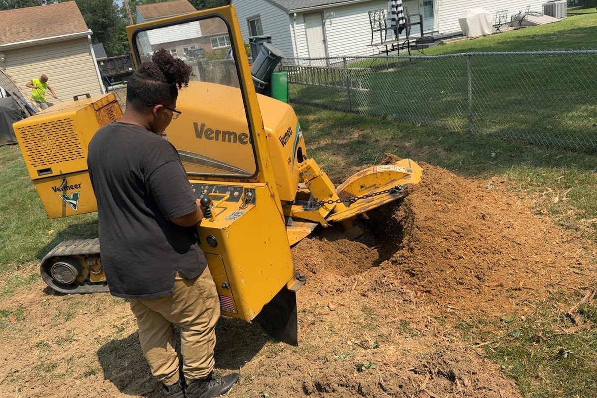 Little Guyz Tree Service crew member operating a Vermeer stump grinder